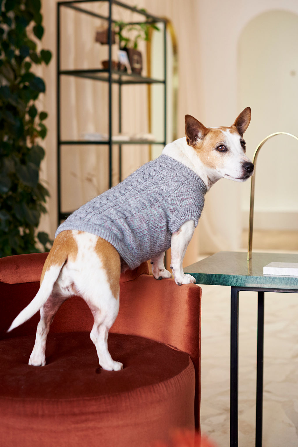 The Logan Knitted Dog Jersey