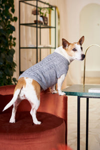 The Logan Knitted Dog Jersey