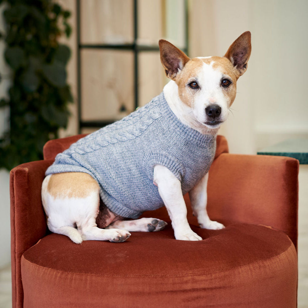 The Logan Knitted Dog Jersey