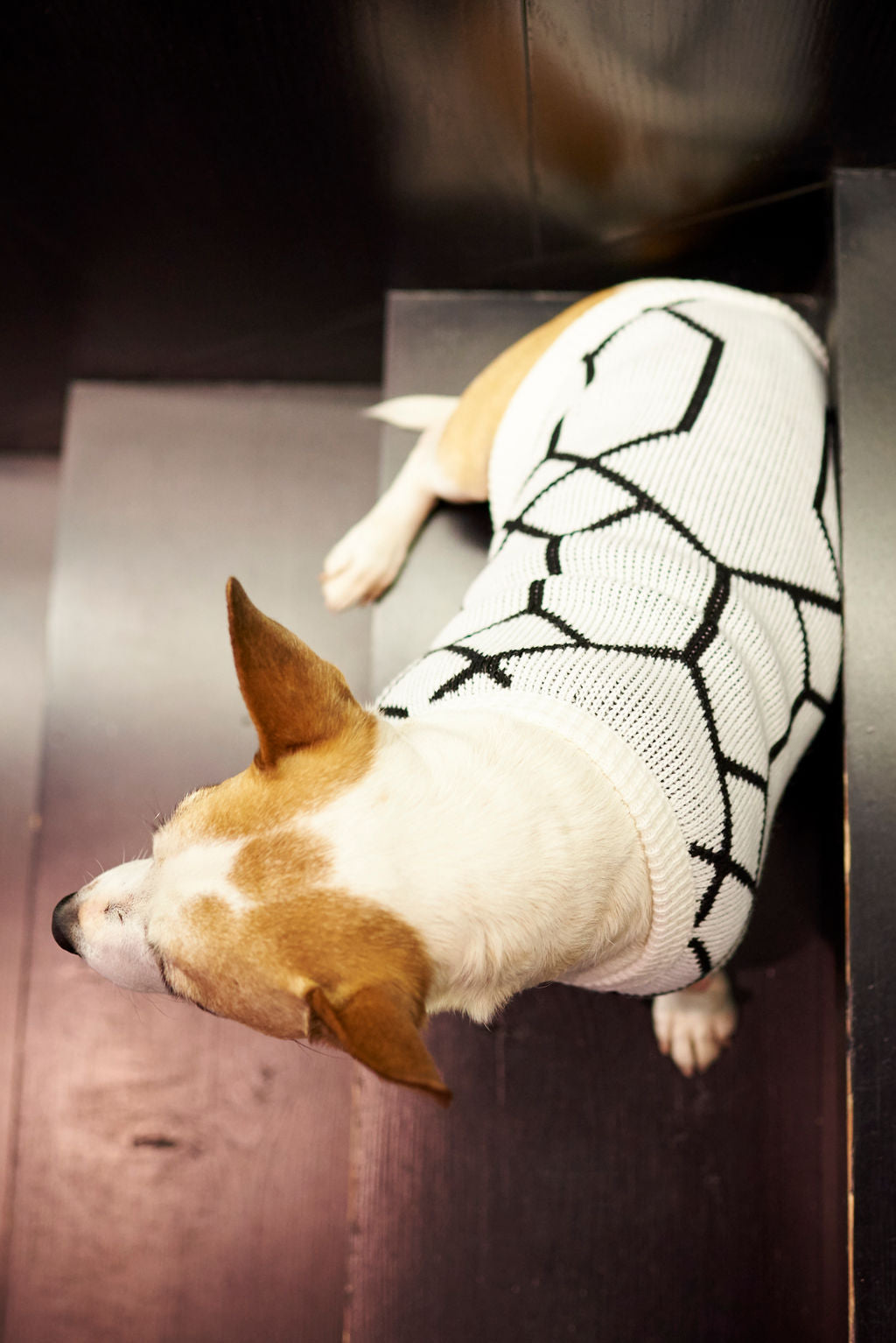The Harper Knitted Dog Jersey