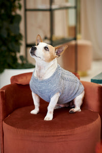 The Logan Knitted Dog Jersey