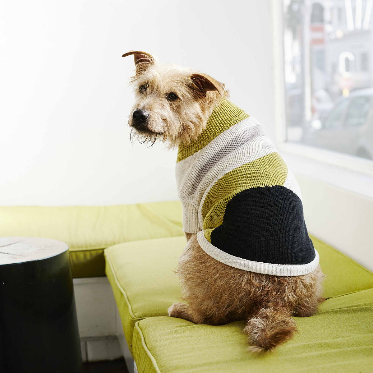 The Hendrix Dog Jersey
